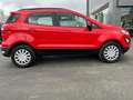 Ford EcoSport 1.0 EcoBoost 125 CV Start&Stop aut. Business Rosso - thumbnail 8