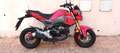Honda MSX 125 MSX GROm Doble Faro Rood - thumbnail 1