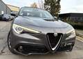 Alfa Romeo Stelvio 2.2 JTD Super CUIR/NAVI/LED/PANO/CAMERA/GARANTIE Gris - thumbnail 6