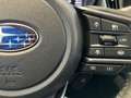 Subaru OUTBACK Edition Plati. Cross auf 180 Limitiert Blau - thumbnail 12