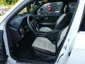 Mercedes-Benz GLK 350 CDI*4Matic*Leder*Navi*Xenon*Kam*Pano Weiß - thumbnail 11