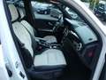 Mercedes-Benz GLK 350 CDI*4Matic*Leder*Navi*Xenon*Kam*Pano Weiß - thumbnail 15
