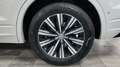 Volkswagen Touareg 3.0TDI V6 Premium Tiptronic Elegance 4M 210kW Blanco - thumbnail 9