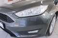 Ford Focus 1.5 TDCi 120 CV Start&Stop SW Business Grigio - thumbnail 28