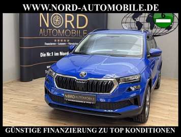 Ambition 2.0 TDI DSG Virt.Cockpit/Kamera Ambition