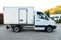 Mercedes-Benz Sprinter 313 CDI Kühlkoffer 1,5C° Frischedienst Wit - thumbnail 5