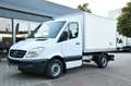 Mercedes-Benz Sprinter 313 CDI Kühlkoffer 1,5C° Frischedienst Wit - thumbnail 2