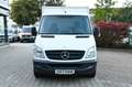Mercedes-Benz Sprinter 313 CDI Kühlkoffer 1,5C° Frischedienst Blanc - thumbnail 3