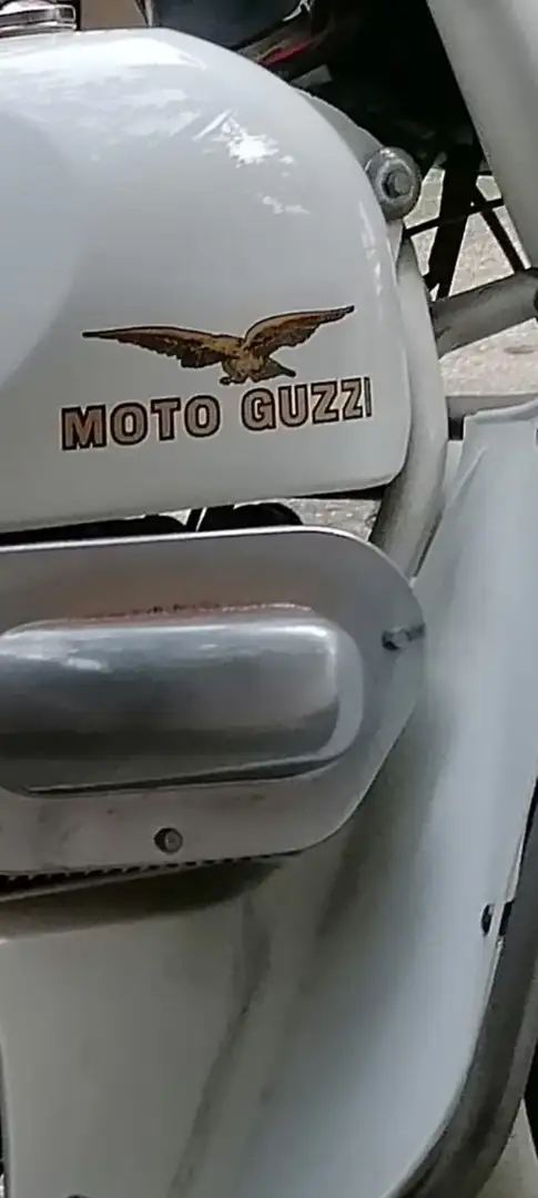 Moto Guzzi Falcone Blanc - 2