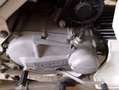 Moto Guzzi Falcone Blanc - thumbnail 7