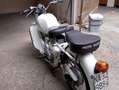 Moto Guzzi Falcone Blanc - thumbnail 3