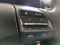 Hyundai KONA Kona Edition 30 1,0 T-GDi 2WD Grau - thumbnail 20