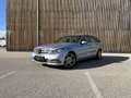 Mercedes-Benz C 250 T Avantgarde BlueEfficiency 4MATIC CDI Aut. Grau - thumbnail 1