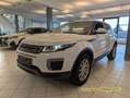 Land Rover Range Rover Evoque Pure *4x4*PDC*KAMERA*BT* Alb - thumbnail 1