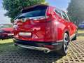 Honda CR-V 1.5T 2WD Elegance Rojo - thumbnail 7