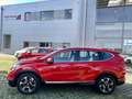 Honda CR-V 1.5T 2WD Elegance Rojo - thumbnail 6