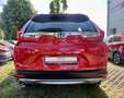 Honda CR-V 1.5T 2WD Elegance Rojo - thumbnail 9