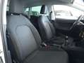 SEAT Ibiza 1.0 TSI S&S Style 85kW Blanco - thumbnail 12
