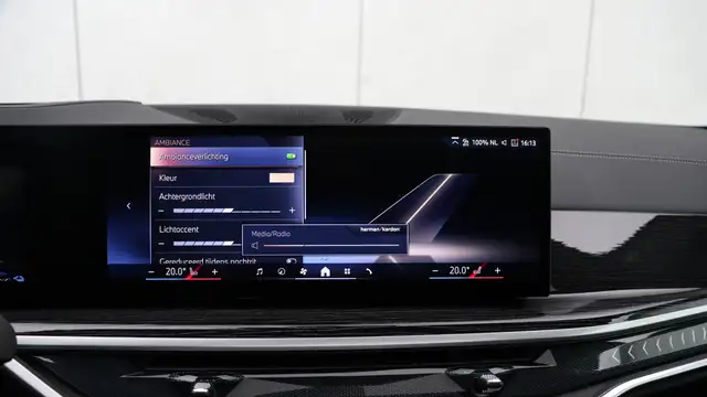 BMW X5 view 21