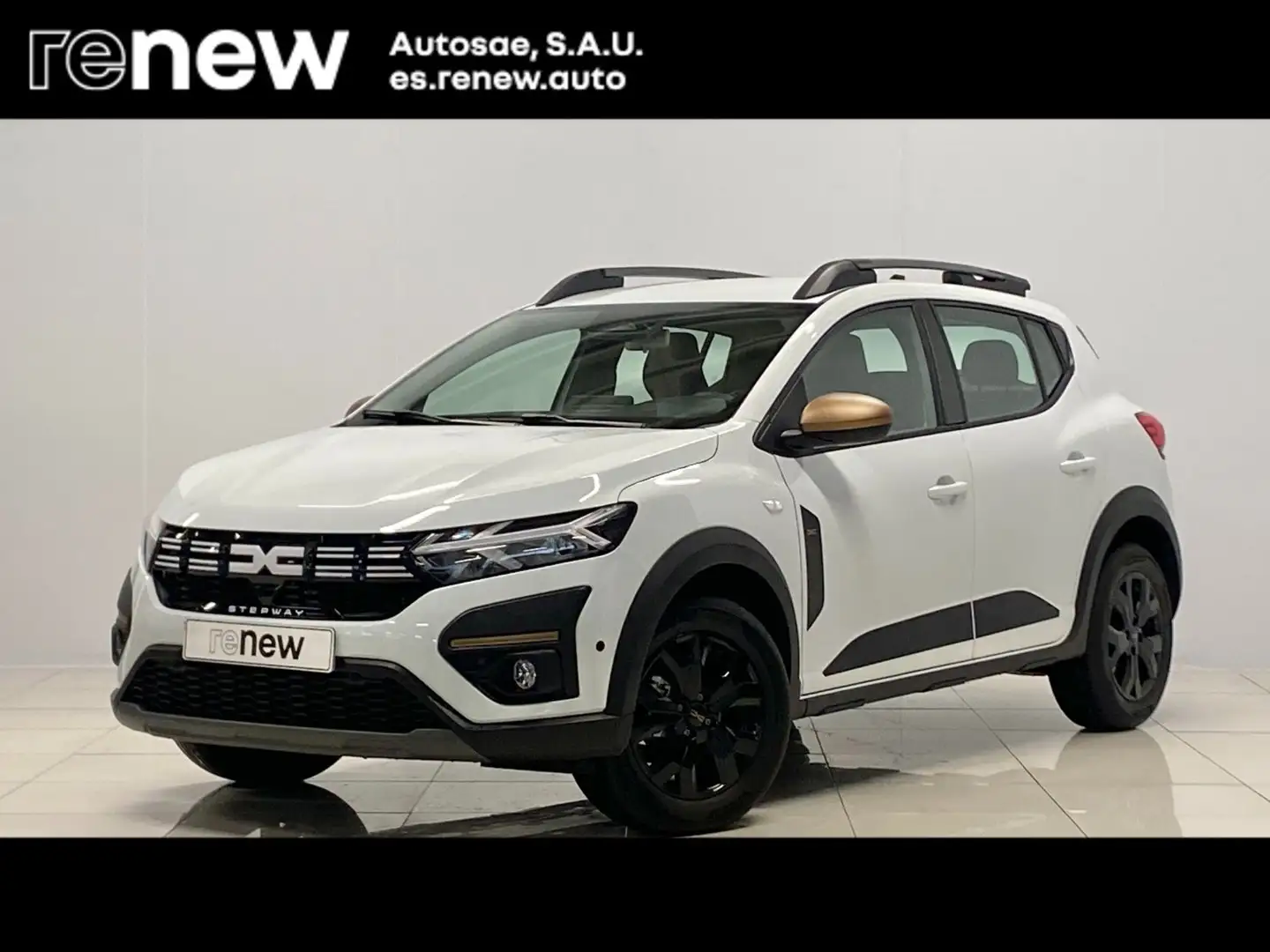 Dacia Sandero Stepway TCe Extreme Go 81kW - 1