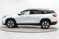 Skoda Kodiaq 2.0 TDI 4x4 DSG Selection AHK Matrix HUD Silber - thumbnail 13