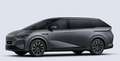 Xpeng Sonstige X9 AWD Performance Grau - thumbnail 1