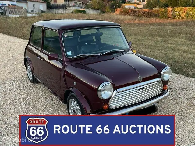 MINI 1000