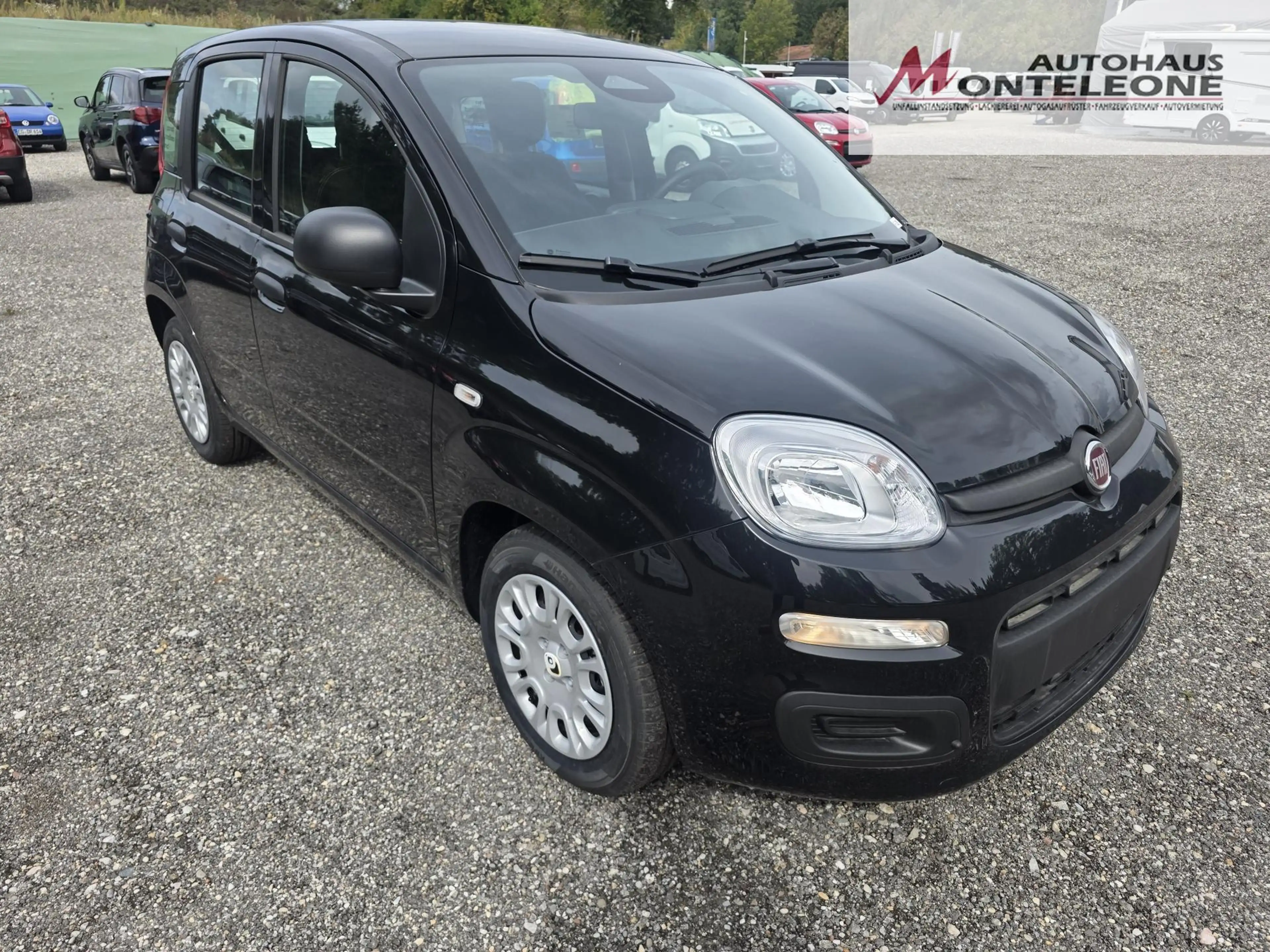 Fiat Panda Panda  Icon | 4 Sitzer | Radio | PDC | Tempomat — photo 6