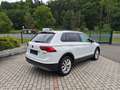 Volkswagen Tiguan Comfortline BMT 4Motion*ACC*AHK*Navi*RFK* Weiß - thumbnail 5