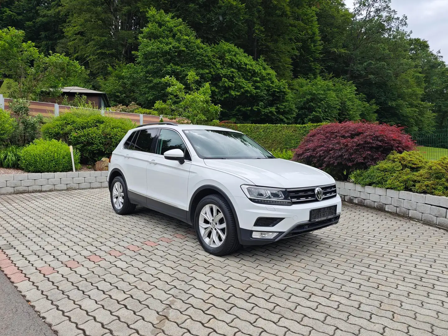 Volkswagen Tiguan Comfortline BMT 4Motion*ACC*AHK*Navi*RFK* Weiß - 1