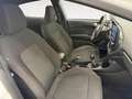 Ford Fiesta 5p 1.5 ecoblue (tdci) ST-Line 85cv my19 - thumbnail 21