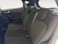 Ford Fiesta 5p 1.5 ecoblue (tdci) ST-Line 85cv my19 - thumbnail 22