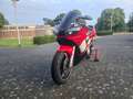 Yamaha YZF-R6 Te koop: Yamaha YZF-R6 (Bouwjaar 2002) Червоний - thumbnail 5