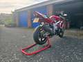 Yamaha YZF-R6 Te koop: Yamaha YZF-R6 (Bouwjaar 2002) Червоний - thumbnail 3