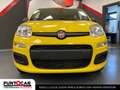 Fiat Panda 1.0 FireFly S&S Hybrid Pandina PROMO FLEX Geel - thumbnail 12