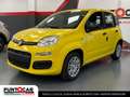 Fiat Panda 1.0 FireFly S&S Hybrid Pandina PROMO FLEX Geel - thumbnail 1