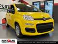 Fiat Panda 1.0 FireFly S&S Hybrid Pandina PROMO FLEX Geel - thumbnail 2