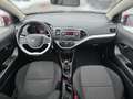 Kia Picanto 1.0 Klima Sitzheizung USB AUX Violett - thumbnail 12