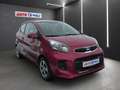 Kia Picanto 1.0 Klima Sitzheizung USB AUX Violett - thumbnail 2
