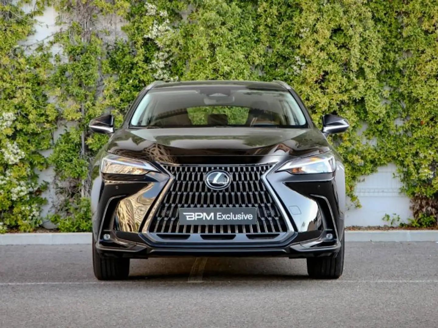 Lexus NX 350h 350h Pack 2WD Noir - 2