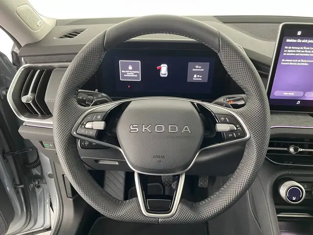 Skoda Kodiaq view 12