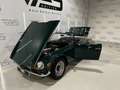 Triumph TRIUMPH TR 6 PI PI V6 2.5cc. 122cv Cabriolet del 1 Verde - thumbnail 4