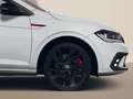 Volkswagen Polo GTI 2,0 l TSI OPF (207 PS) DSG *NAVI*BLACKS Білий - thumbnail 10