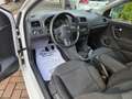 Volkswagen Polo 3p 1.6 tdi Comfortline - thumbnail 7