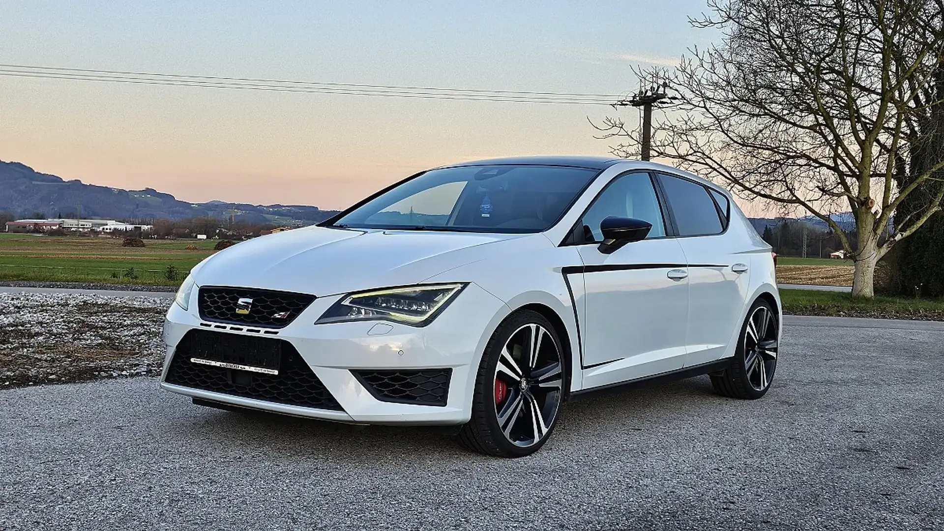 SEAT Leon Cupra 2,0 TSI DSG Silber - 1