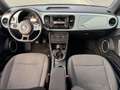 Volkswagen Beetle 1.2 TSI Design | RIJKLAAR | Navi | Cruise | Clima Bleu - thumbnail 19