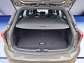 Ford Focus Turnier 1.0 EcoBoost Hybrid Aut. ST-LINE (DEH) Grau - thumbnail 1