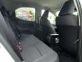 Toyota Yaris 1.5l Hybrid Teamplayer*R-Kamera*Carplay**** Weiß - thumbnail 12