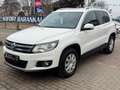 Volkswagen Tiguan 2.0TDI Life BMT*Xen*Temp*Kam*AHK*Webasto Weiß - thumbnail 8