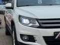 Volkswagen Tiguan 2.0TDI Life BMT*Xen*Temp*Kam*AHK*Webasto Weiß - thumbnail 10